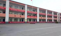 红河某中学爆料视频,揭秘校园内幕